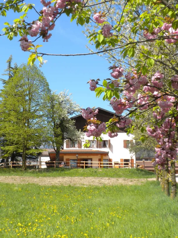 La fattoria kids friendly Cascina Dolomiti: animali e spazi all'aperto